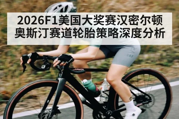 2026F1美国大奖赛汉密尔顿奥斯汀赛道轮胎策略深度分析